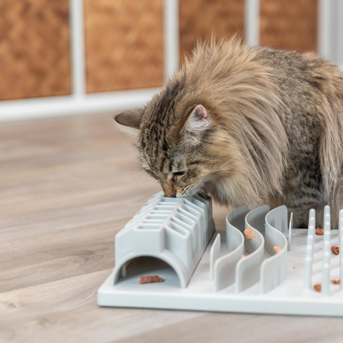 TRIXIE Cat Activity Fun Board – Interaktives Intelligenzspielzeug für geistige Fitness | 30 x 40 cm 5